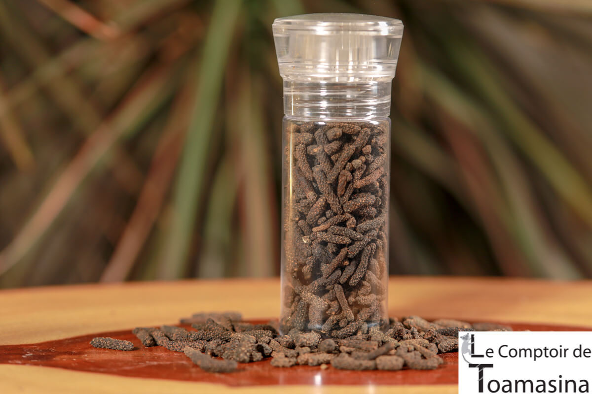 Long Java pepper in pepper mill